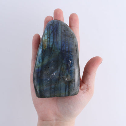 Labradorite Freeform Set of 6
