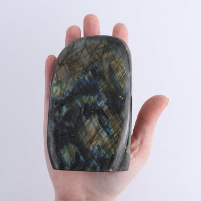 Labradorite Freeform Set of 7