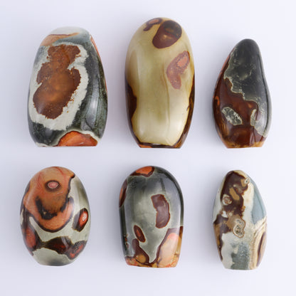 Polychrome Jasper Freeforms Set of 6 - Expert Wholesale and Supplier of Wholesale Crystals & Bulk Gemstones, ["jasper","Madagascar","Polychrome Jasper"]
