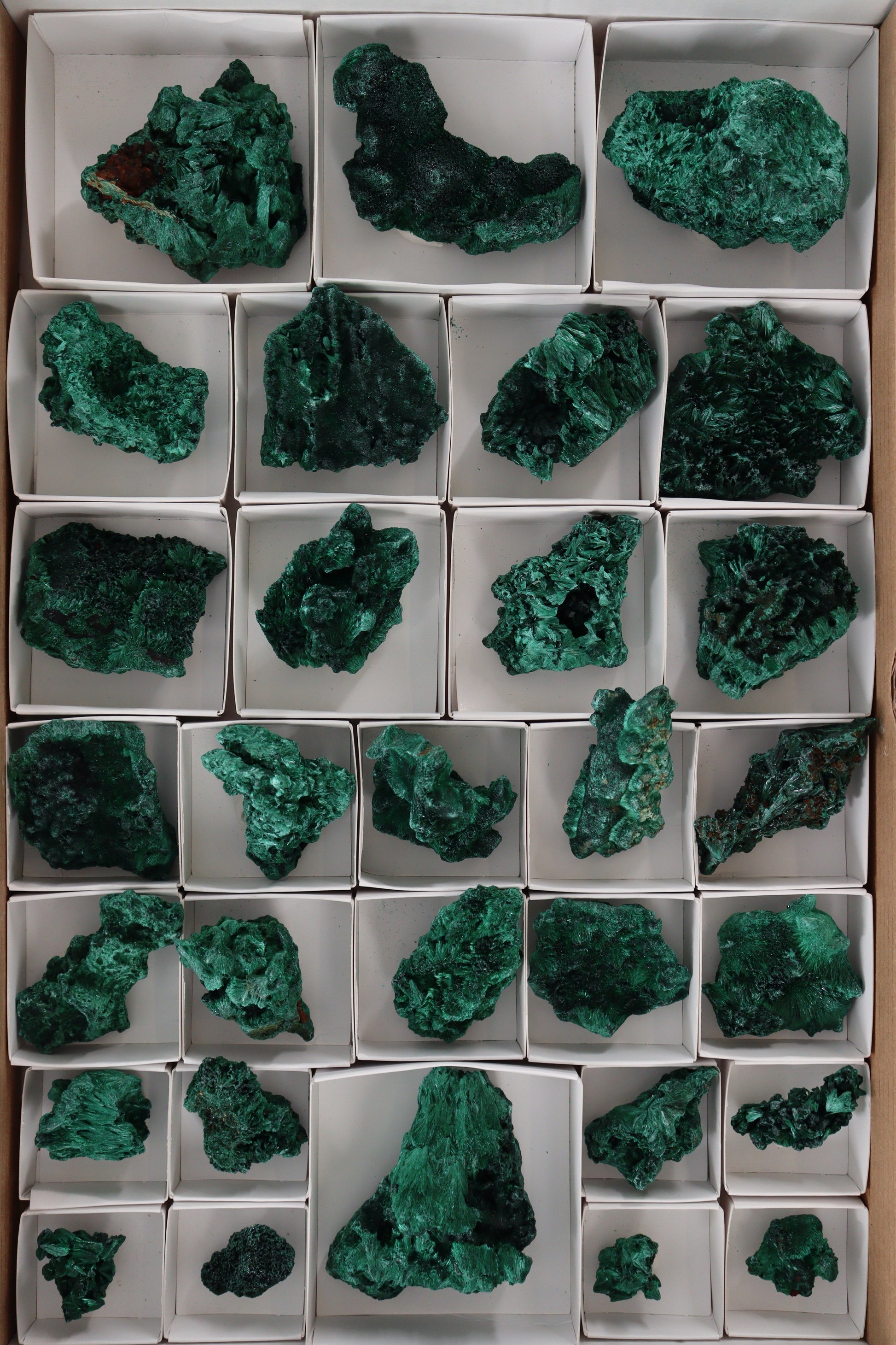 Malachite Flat - Expert Supplier of Wholesale Crystals & Bulk Gemstones