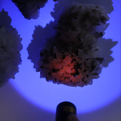 UV Reactive Calcite Flat Set of 8 - Expert Wholesale and Supplier of Wholesale Crystals & Bulk Gemstones, ["Calcite","Freeform","Freeforms","Mexico"]