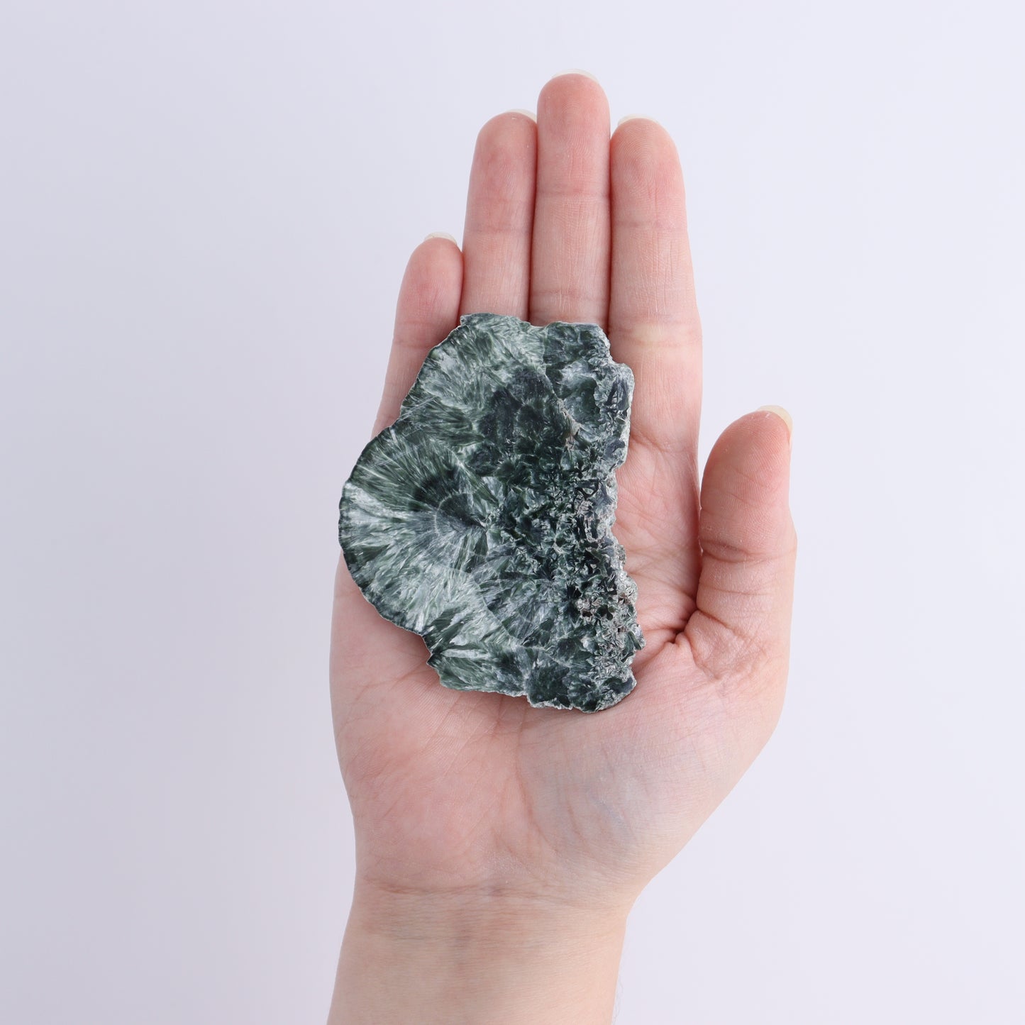 Seraphinite Slices Set of 6 - Expert Wholesale and Supplier of Wholesale Crystals & Bulk Gemstones, ["Seraphinite","Slices and Slabs"]