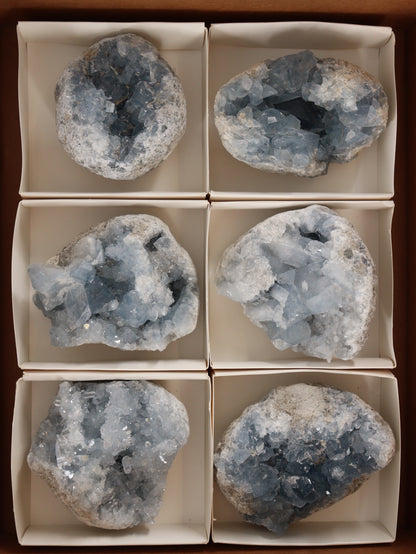 Celestite Clusters Set of 6 - Expert Wholesale and Supplier of Wholesale Crystals & Bulk Gemstones, []