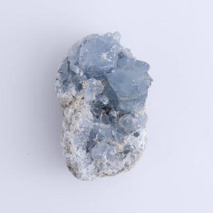 Celestite Clusters Set of 9 - Expert Wholesale and Supplier of Wholesale Crystals & Bulk Gemstones, ["Celestite","Freeform"]