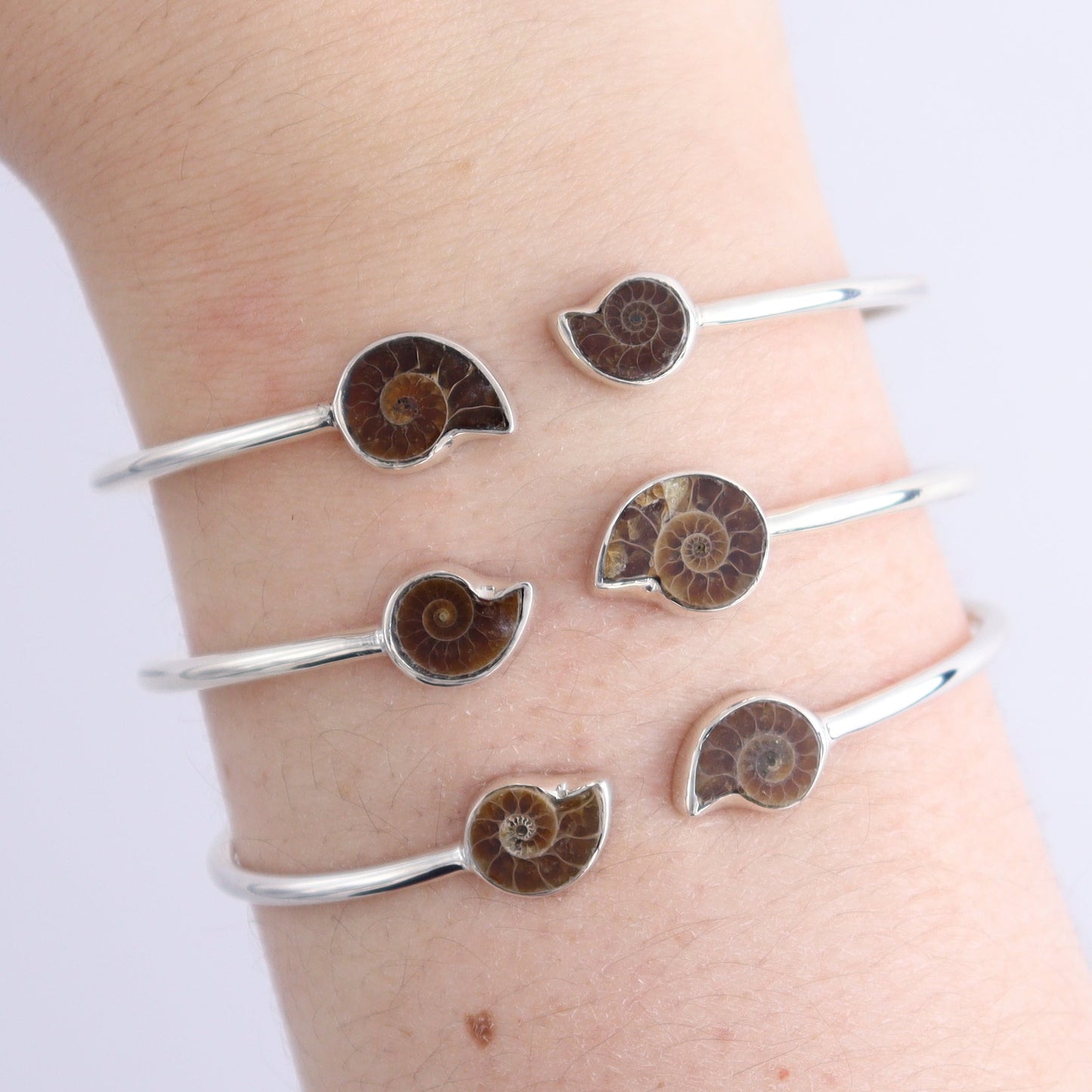 One Ammonite Sterling Silver Bracelet - Expert Wholesale and Supplier of Wholesale Crystals & Bulk Gemstones, ["Ammonite","Bracelet","bracelets"]
