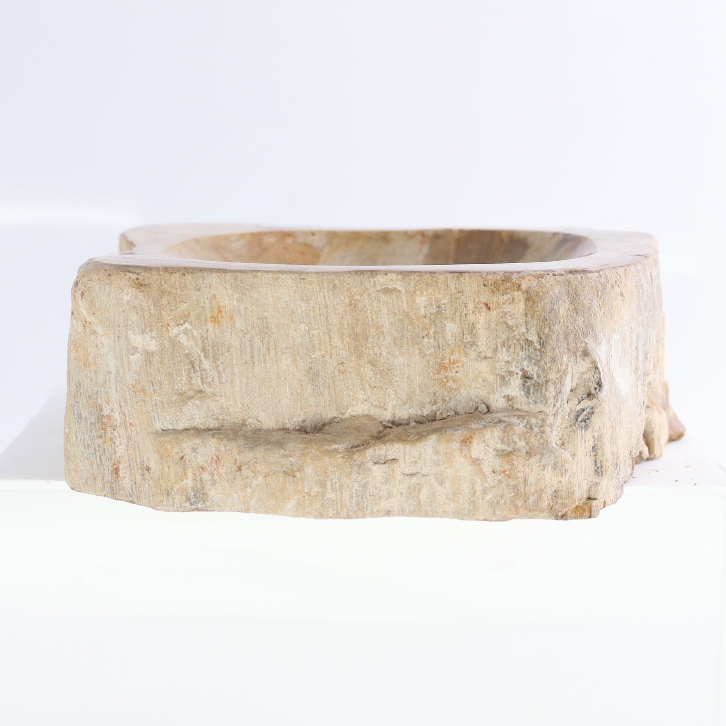 Petrified Wood Bowls Set of 2