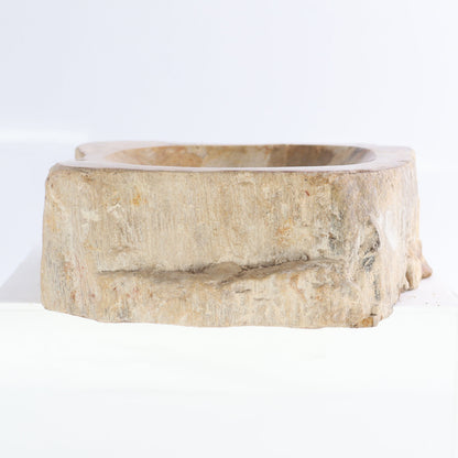 Petrified Wood Bowls Set of 2