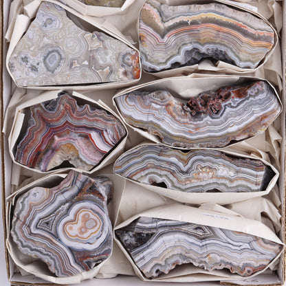 *sold Crazy Lace Agate Flat of 9 - Expert Wholesale and Supplier of Wholesale Crystals & Bulk Gemstones, ["Crazy Lace Agate","Mexico"]