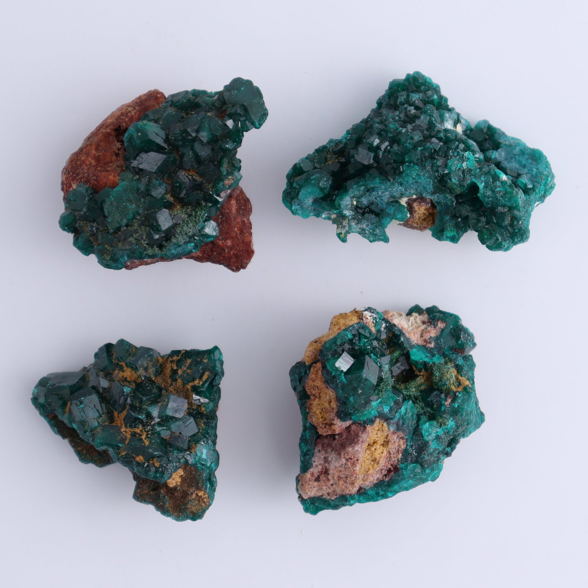 Dioptase Set of 12 - Expert Wholesale and Supplier of Wholesale Crystals & Bulk Gemstones, ["dioptase","Freeform","Freeforms"]