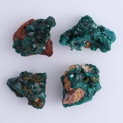 Dioptase Set of 12 - Expert Wholesale and Supplier of Wholesale Crystals & Bulk Gemstones, ["dioptase","Freeform","Freeforms"]