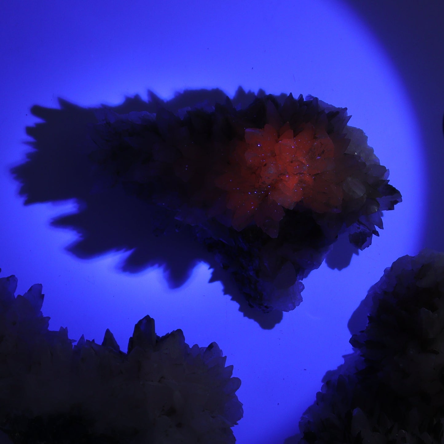 UV Reactive Calcite Flat Set of 8 - Expert Wholesale and Supplier of Wholesale Crystals & Bulk Gemstones, ["Calcite","Freeform","Freeforms","Mexico"]