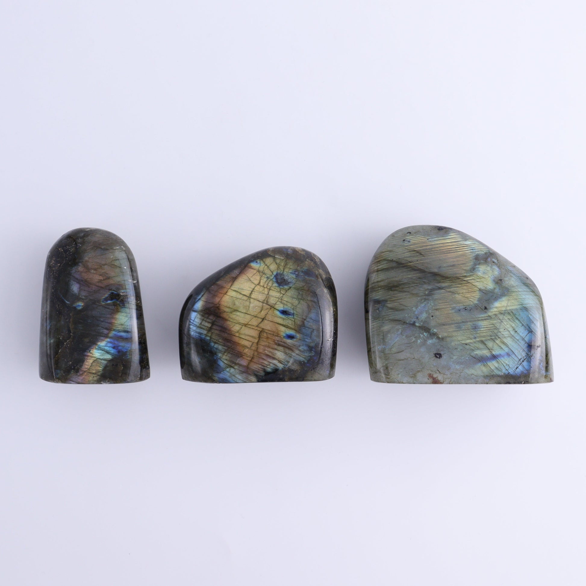 Labradorite Freeform Set of 7 - Expert Wholesale and Supplier of Wholesale Crystals & Bulk Gemstones, ["Freeforms","Labradorite","Madagascar"]