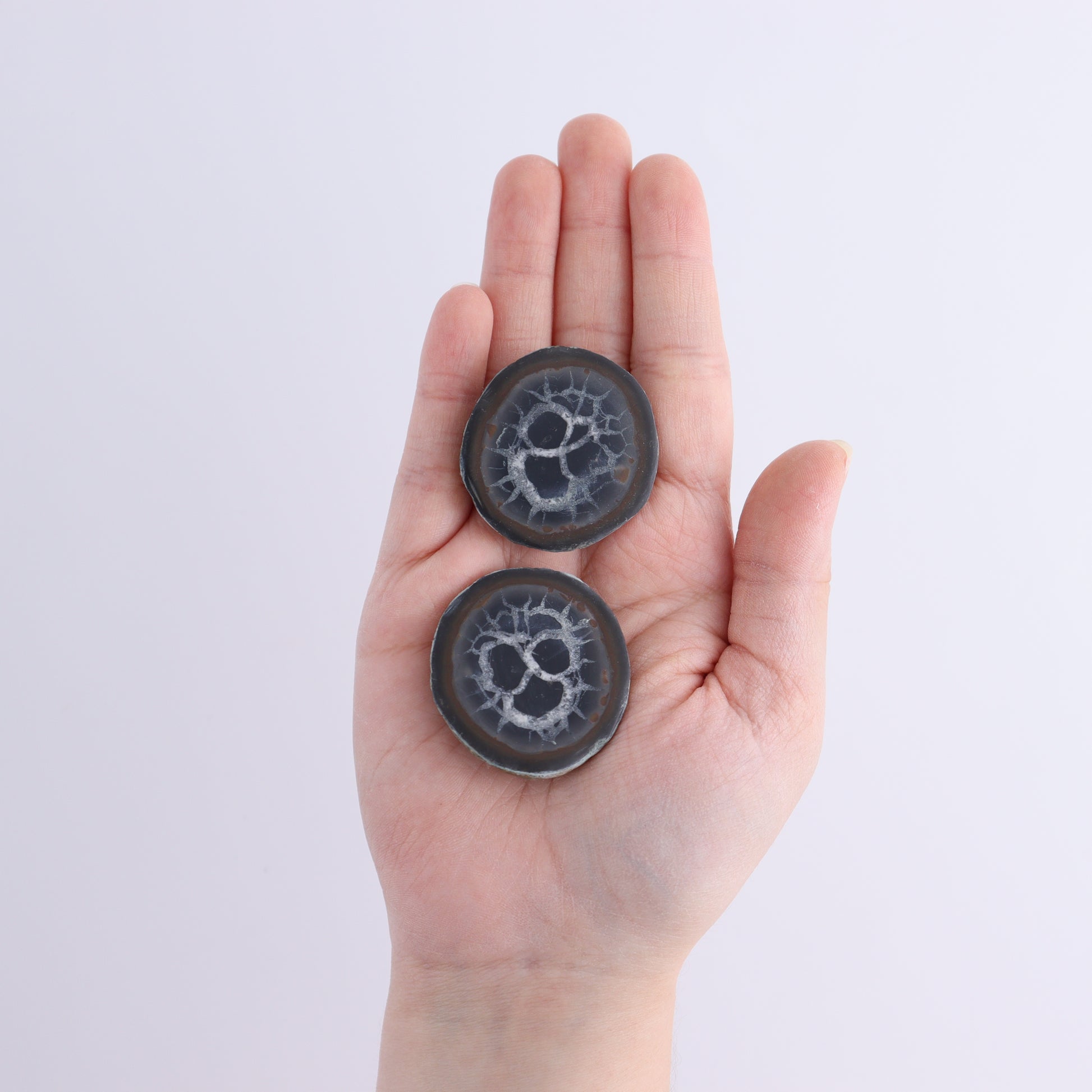 Septarian Geodes Flat - Expert Wholesale and Supplier of Wholesale Crystals & Bulk Gemstones, ["Geodes","Septarian"]