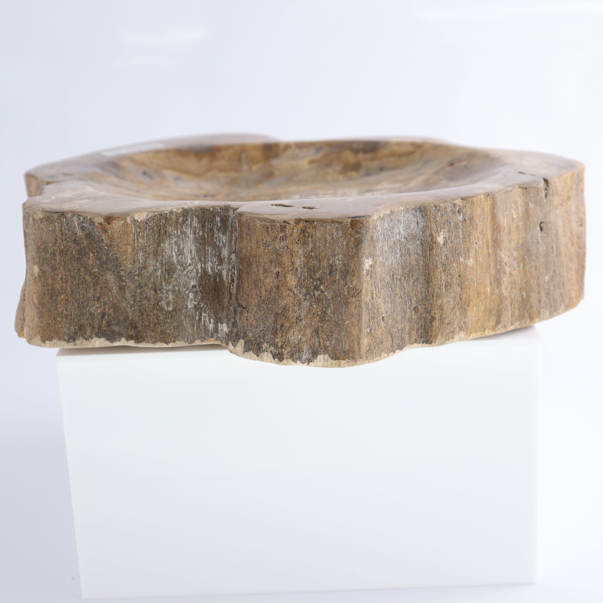 Bowl Petrified Wood - Expert Wholesale and Supplier of Wholesale Crystals & Bulk Gemstones, ["Bowls","Indonesia","Petrified Wood"]