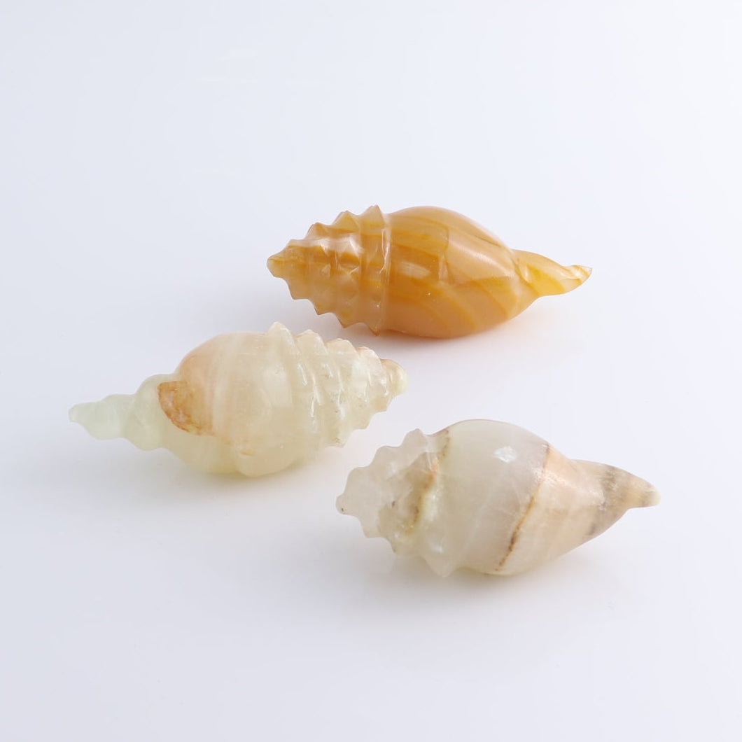 One Mexican Onyx/Calcite Shell Cut Base Beige/Honey