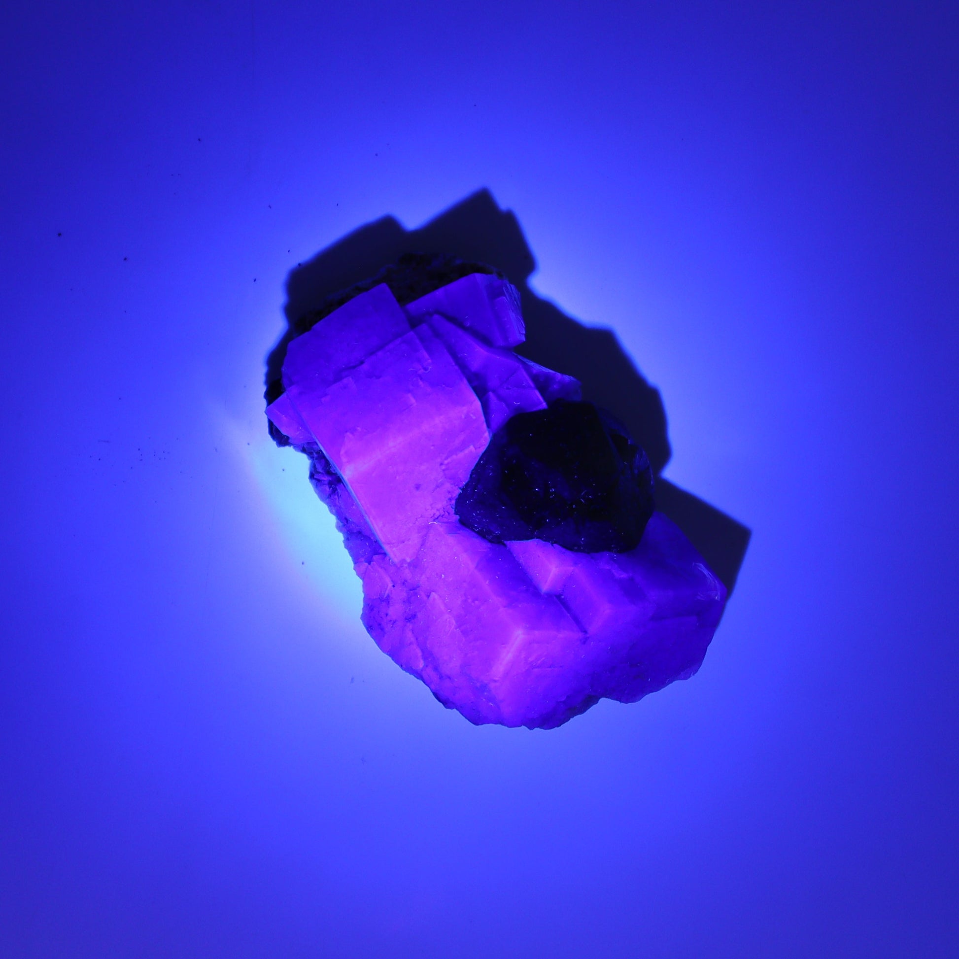 Fluorite Purple Rain Pocket Set of 8 - Expert Wholesale and Supplier of Wholesale Crystals & Bulk Gemstones, ["close_50","England","Fluorite","Purple Rain Pocket","Rough"]