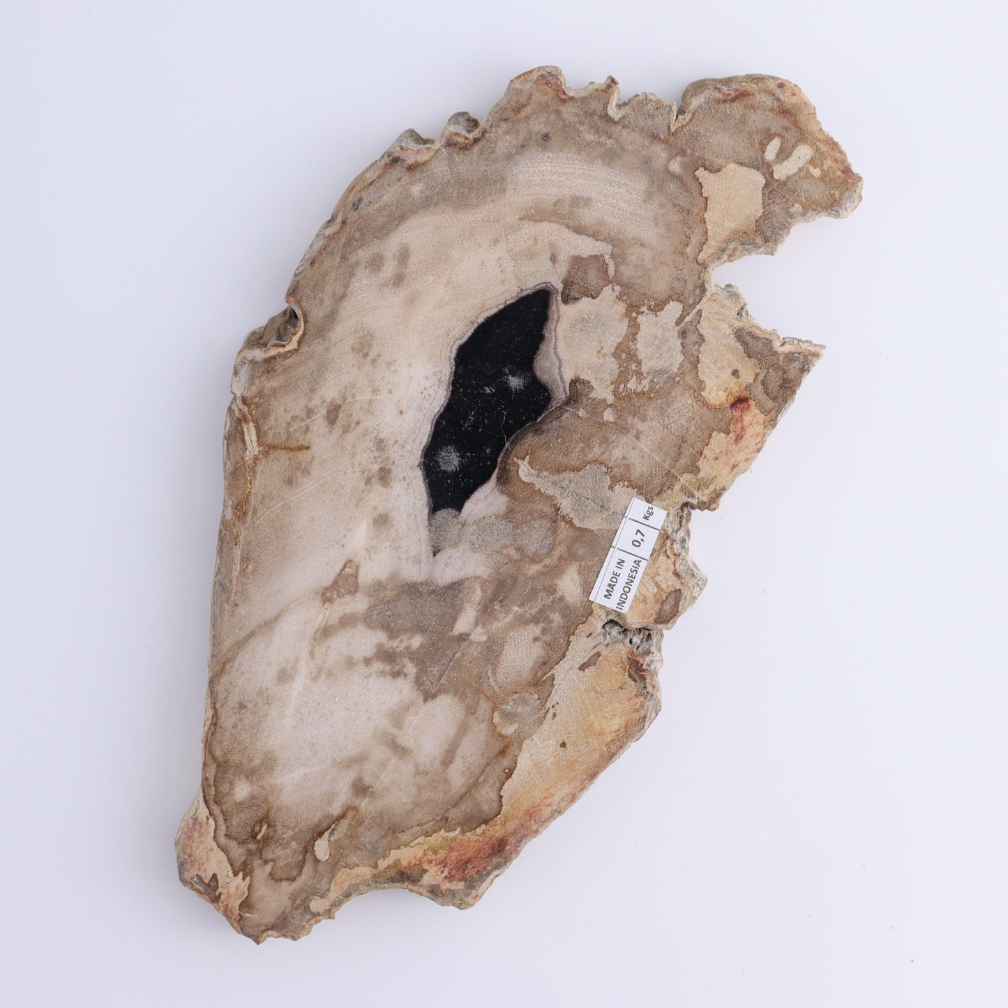 Petrified Wood Slices & Slabs Set of 3 - Expert Wholesale and Supplier of Wholesale Crystals & Bulk Gemstones, ["Freeforms","Indonesia","Petrified Wood","Slices and Slabs"]