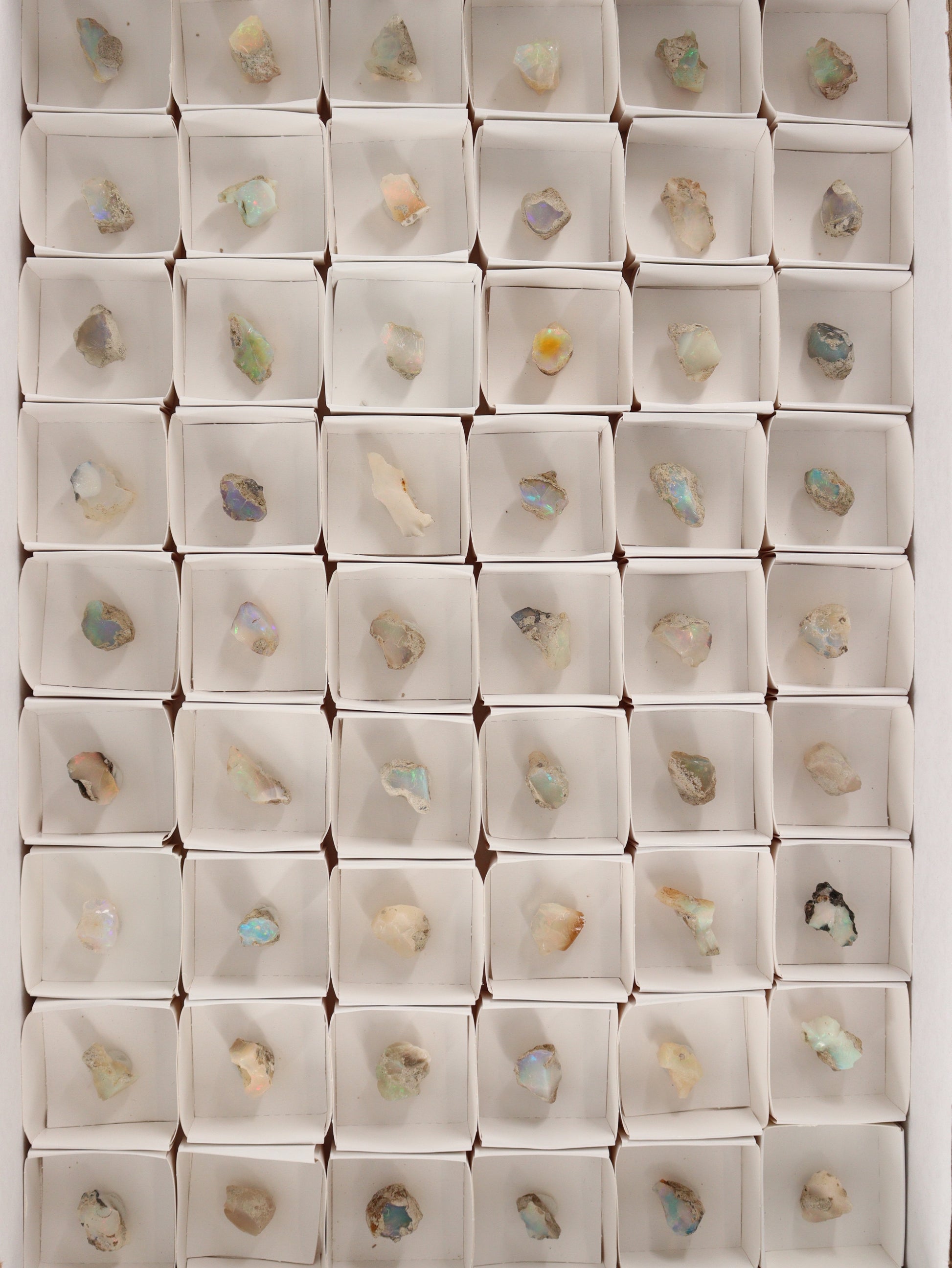 Ethiopian Opal Flat Set of 54 - Expert Wholesale and Supplier of Wholesale Crystals & Bulk Gemstones, []