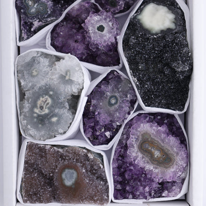 Uruguay Amethyst Clusters with "Eyes" Flat of 11 - Expert Wholesale and Supplier of Wholesale Crystals & Bulk Gemstones, ["Amethyst","Clusters","Eyes Amethyst","Uruguay"]