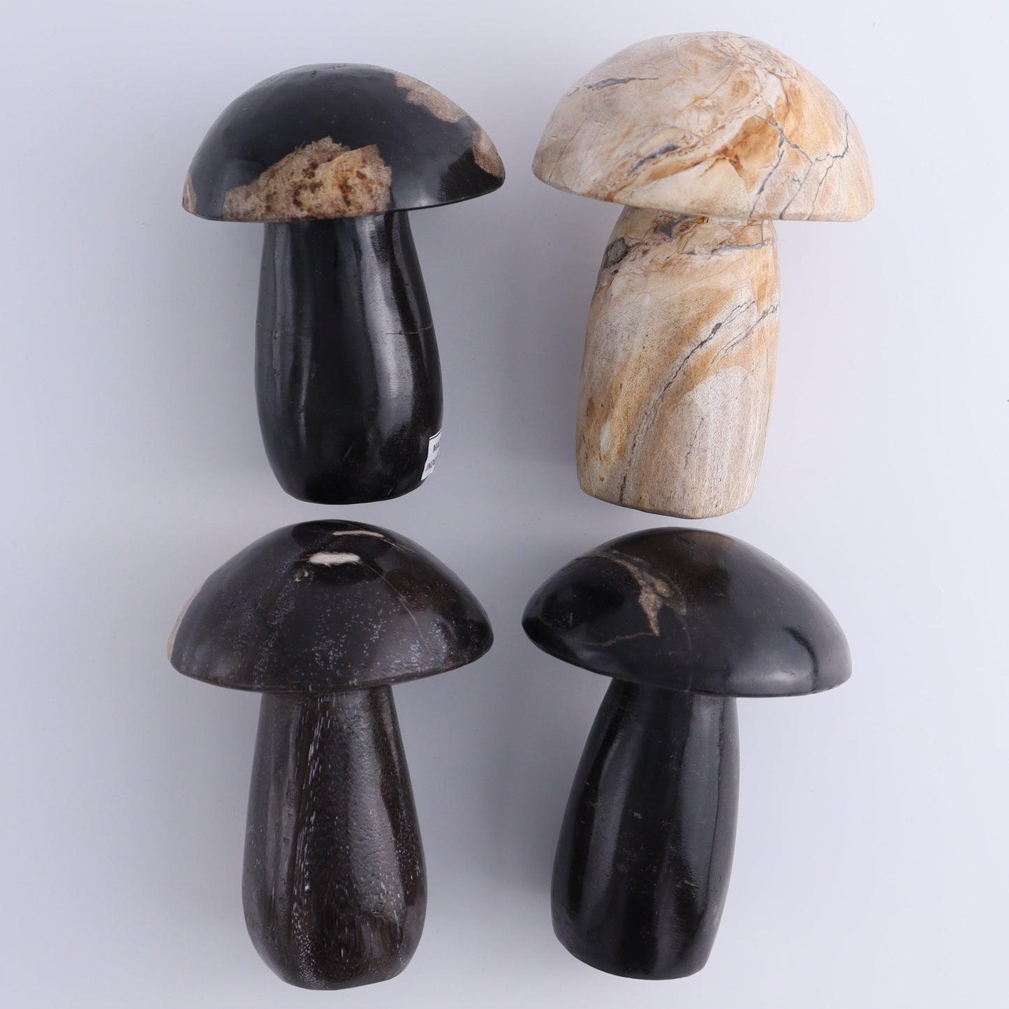 Petrified Wood Mushrooms Set of 4 - Expert Wholesale and Supplier of Wholesale Crystals & Bulk Gemstones, ["Indonesia","Mushrooms","Petrified Wood"]