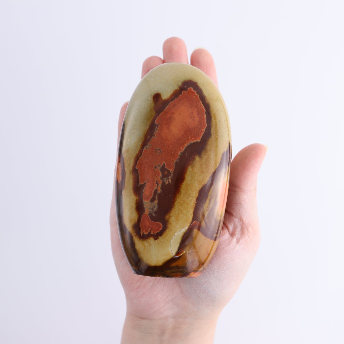 Polychrome Jasper Freeforms Set of 6 - Expert Wholesale and Supplier of Wholesale Crystals & Bulk Gemstones, ["jasper","Madagascar","Polychrome Jasper"]