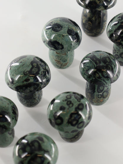 Kambaba Jasper Set of 8 - Expert Wholesale and Supplier of Wholesale Crystals & Bulk Gemstones, []