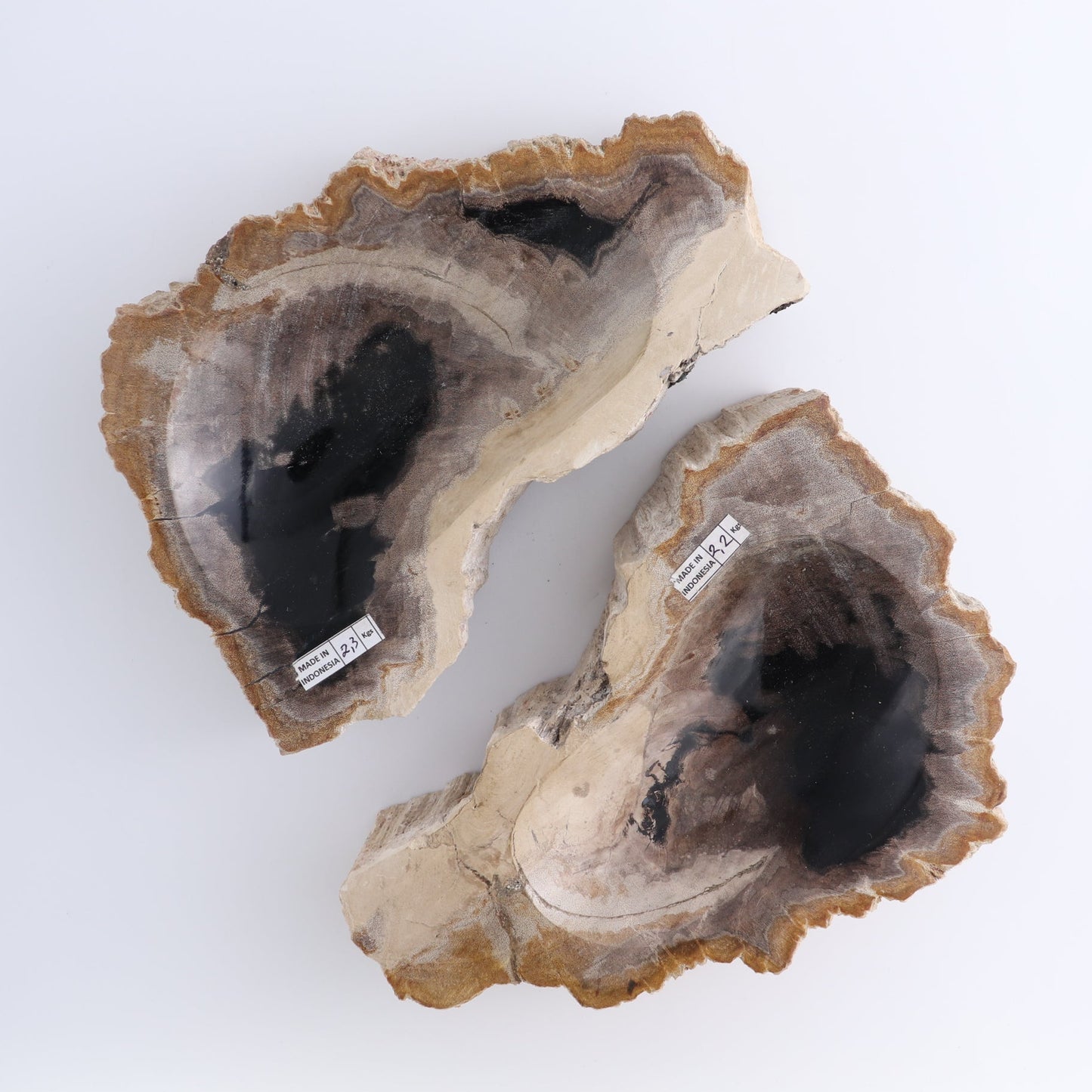 One Petrified Wood Brown & Black Rough Bowl