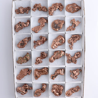 Copper Nuggets Flat of 24
