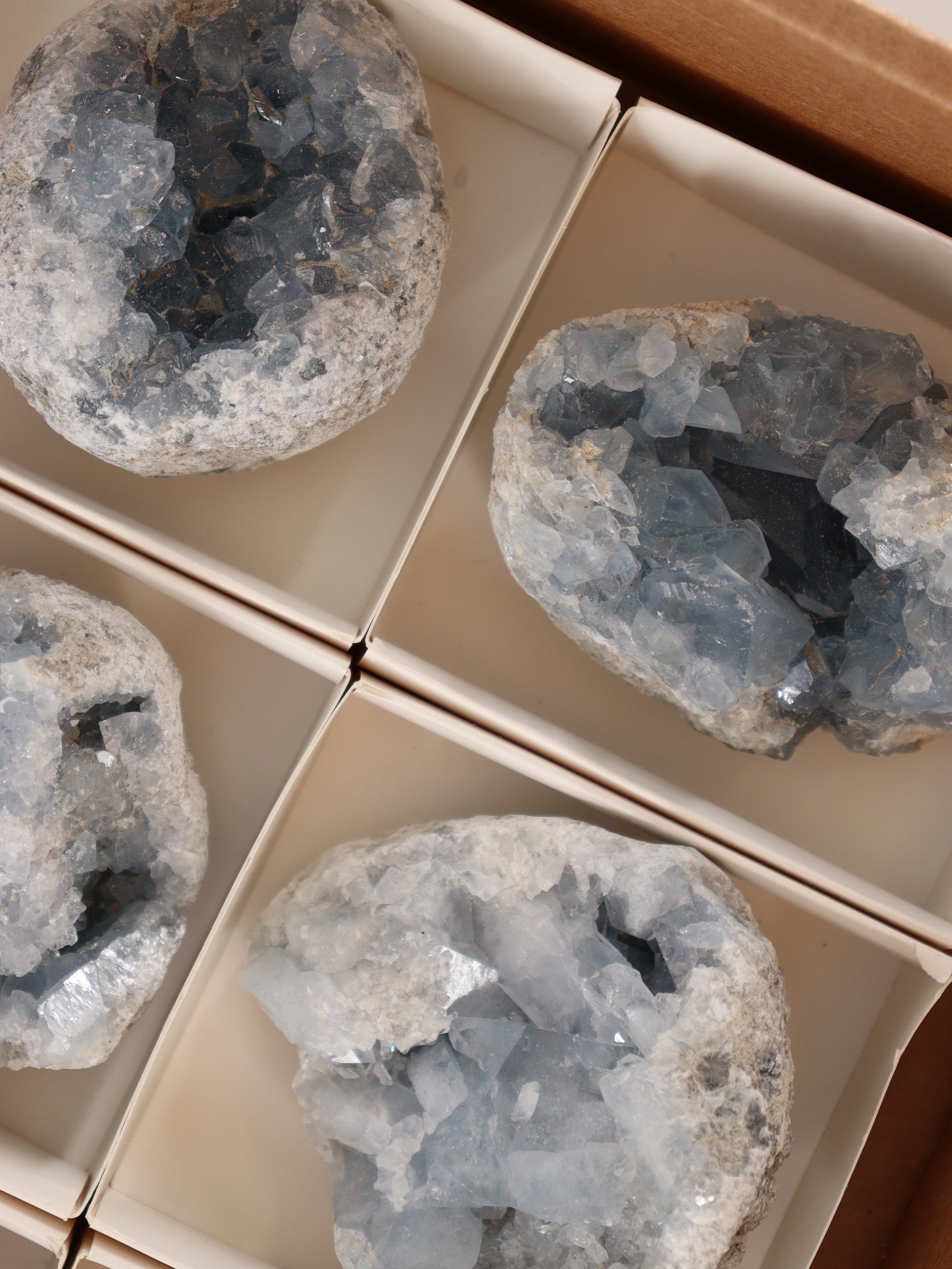 Celestite Clusters Set of 6 - Expert Wholesale and Supplier of Wholesale Crystals & Bulk Gemstones, []