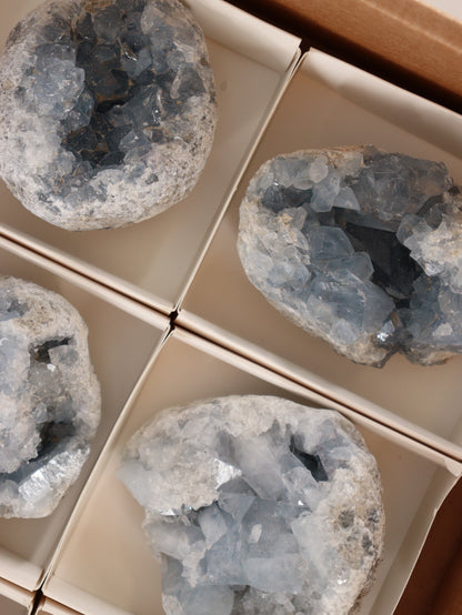 Celestite Clusters Set of 6 - Expert Wholesale and Supplier of Wholesale Crystals & Bulk Gemstones, []