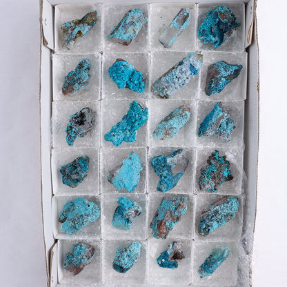 Chrysocolla on Quartz Roughs Set of 24 - Expert Wholesale and Supplier of Wholesale Crystals & Bulk Gemstones, ["Chrysocolla","Flats","Freeforms","Peru","Quartz","Rough"]