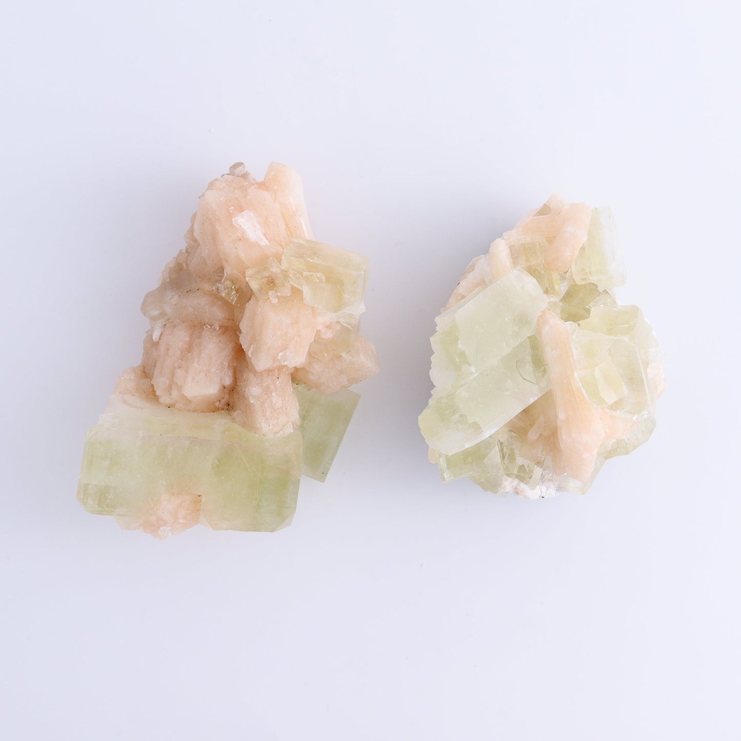 Apophyllite Clusters Flat of 6 - Expert Wholesale and Supplier of Wholesale Crystals & Bulk Gemstones, ["Apophyllite","Clusters","Flats"]