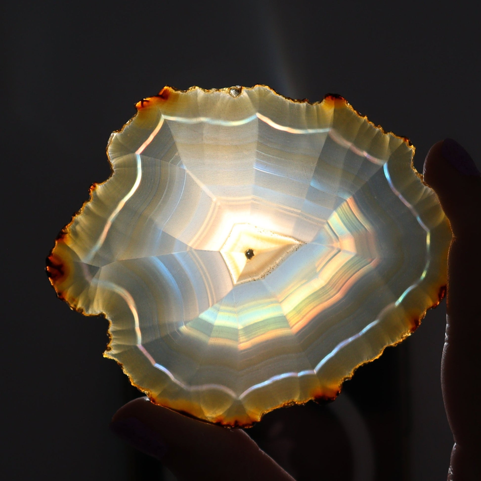 Iris Agate Slices Set of 6 - Expert Wholesale and Supplier of Wholesale Crystals & Bulk Gemstones, ["Agate","Iris Agate","Slices and Slabs"]
