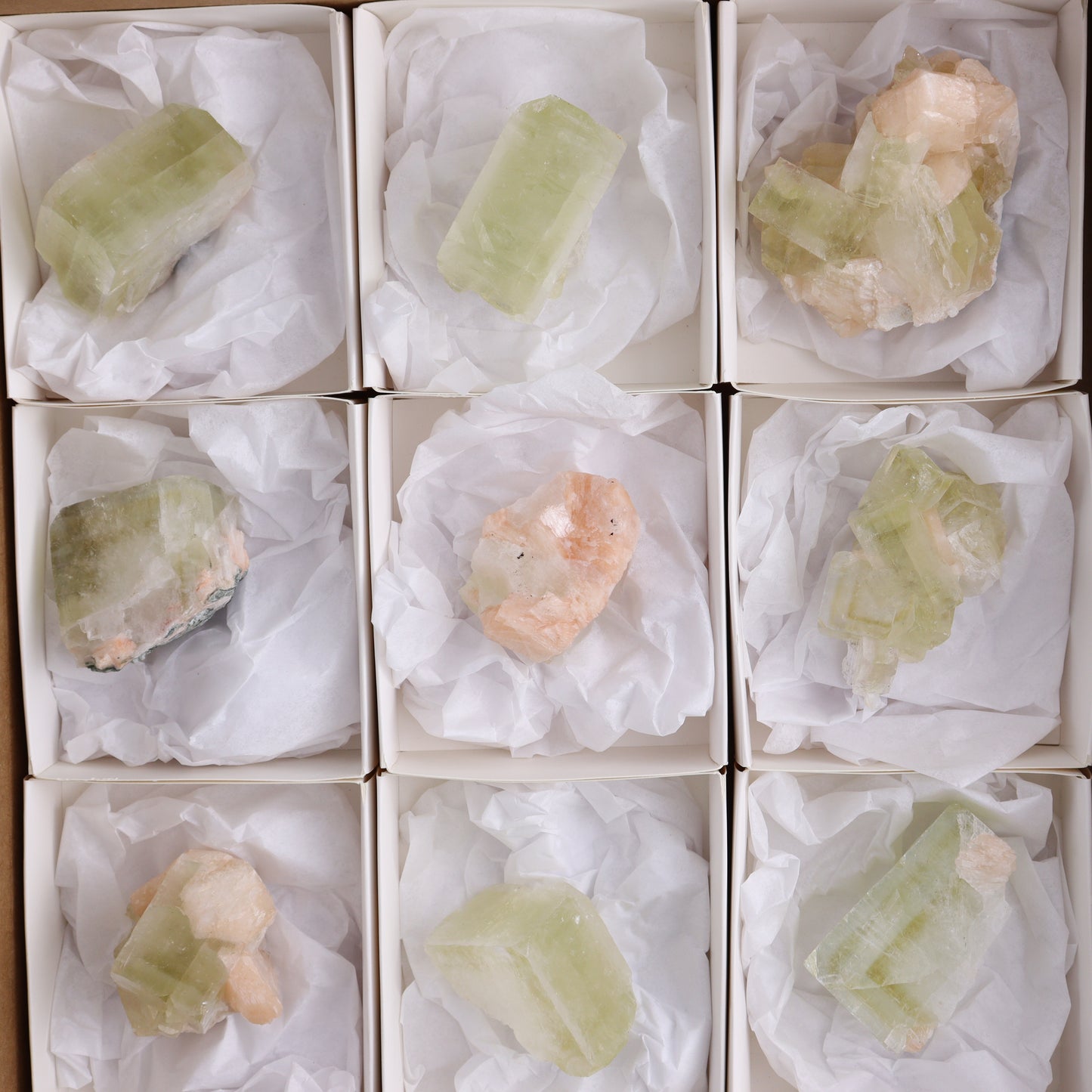 Apophyllite Clusters Flat of 12