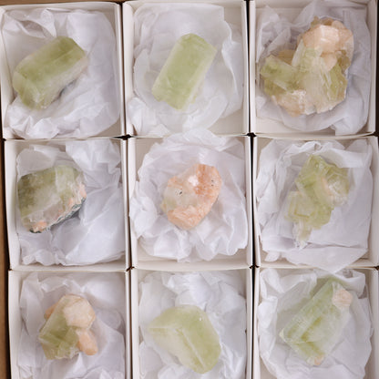 Apophyllite Clusters Flat of 12