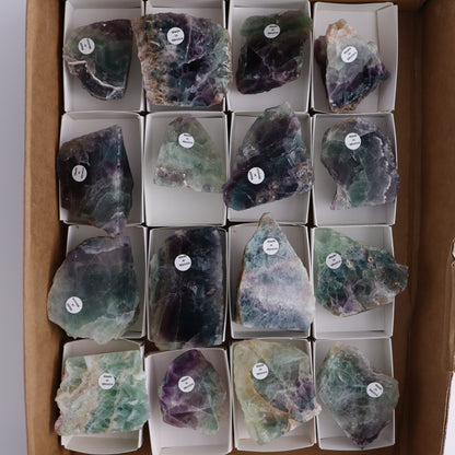 Fluorite Polished Face Cut Bases Set of 16 - Expert Wholesale and Supplier of Wholesale Crystals & Bulk Gemstones, ["Cut Base","Face Polished","Fluorite","Mexico"]