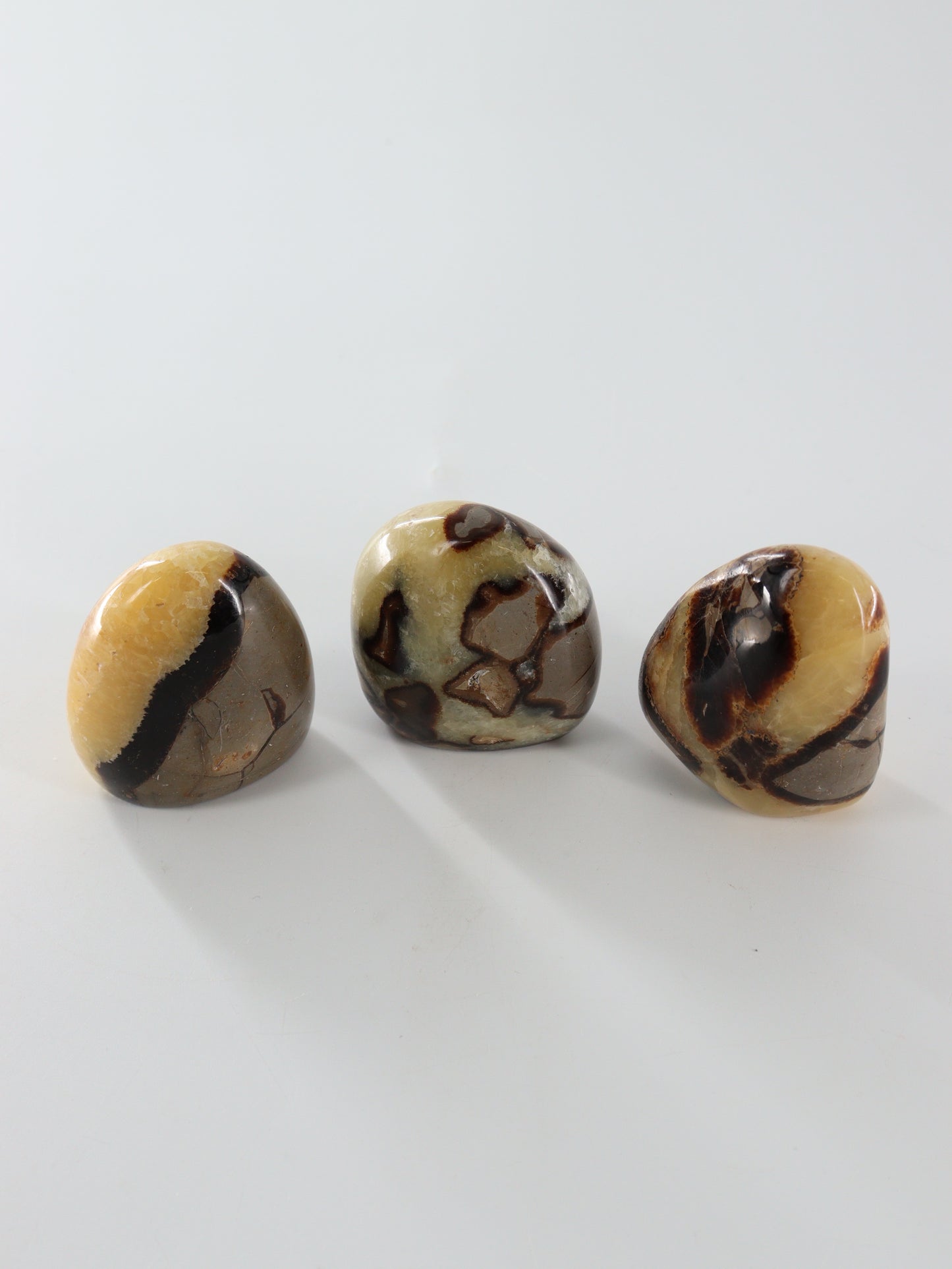 Septarian Freeforms Set of 12 - Expert Wholesale and Supplier of Wholesale Crystals & Bulk Gemstones, []