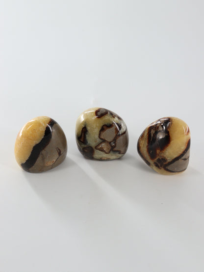 Septarian Freeforms Set of 12 - Expert Wholesale and Supplier of Wholesale Crystals & Bulk Gemstones, []