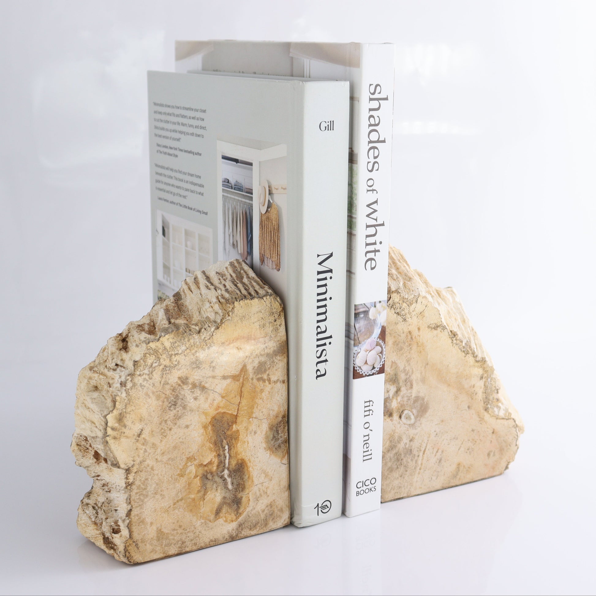 Bookends Petrified Wood - Expert Wholesale and Supplier of Wholesale Crystals & Bulk Gemstones, ["Bookends","Indonesia","Petrified Wood"]