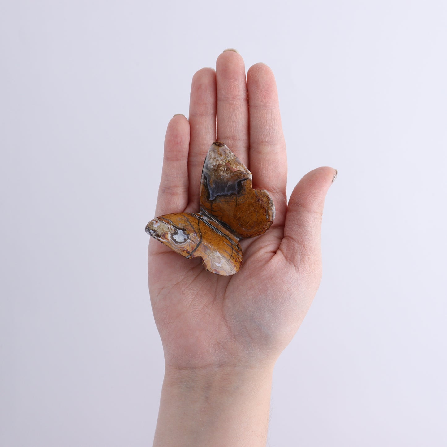 One Brecciated Jasper Butterfly - Expert Wholesale and Supplier of Wholesale Crystals & Bulk Gemstones, ["Brecciated Jasper","Butterflies","Butterfly","jasper"]