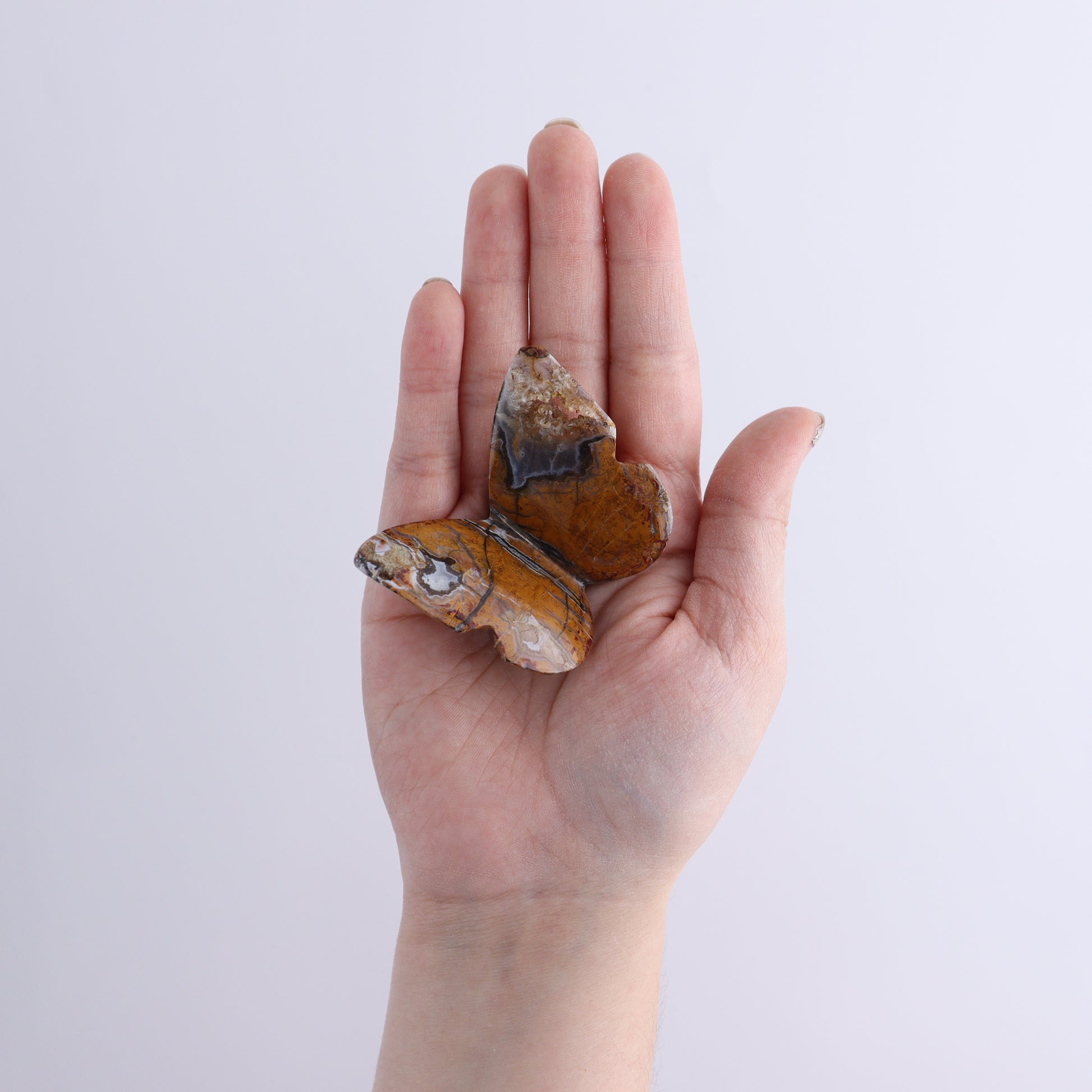 One Brecciated Jasper Butterfly - Expert Wholesale and Supplier of Wholesale Crystals & Bulk Gemstones, ["Brecciated Jasper","Butterflies","Butterfly","jasper"]