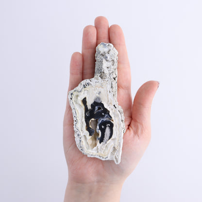 Agatized Coral Flat - Expert Wholesale and Supplier of Wholesale Crystals & Bulk Gemstones, ["Agate","Agatized Coral","Coral","United States"]