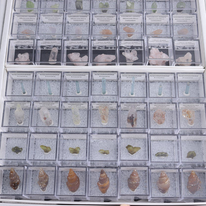 Mixed Mineral Thumbnails Flat