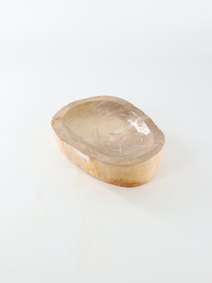 Petrified Wood Bowl - Expert Supplier of Wholesale Crystals & Bulk Gemstones