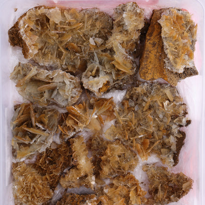 Barite Flat from Morocco - Expert Wholesale and Supplier of Wholesale Crystals & Bulk Gemstones, ["Barite","Flats","Morocco"]