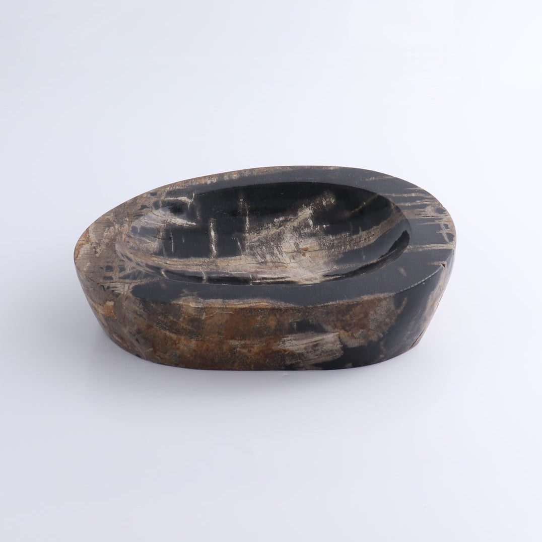 One Petrified Wood Black Polished Bowl
