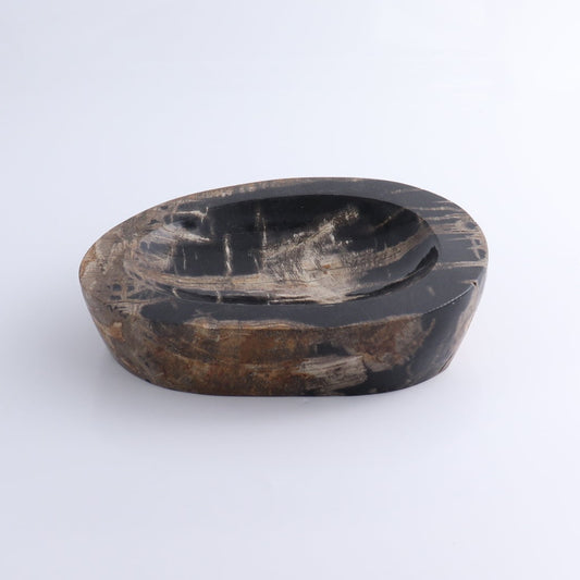 One Petrified Wood Black Polished Bowl