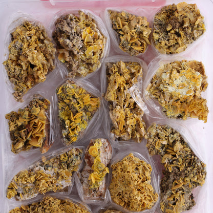 Wulfenite Flat from Morocco - Expert Wholesale and Supplier of Wholesale Crystals & Bulk Gemstones, ["Flats","Morocco","Wulfenite"]