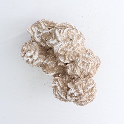 Desert Rose Set of 4
