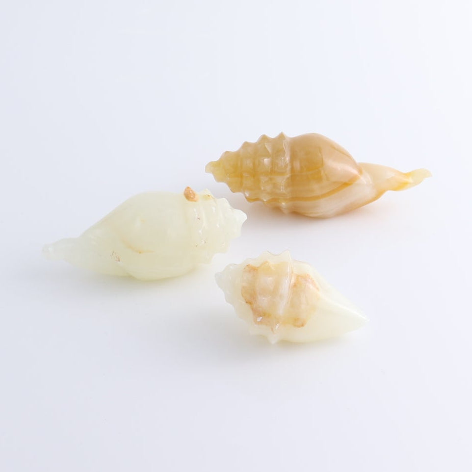 One Mexican Onyx/Calcite Shell Cut Base Beige/Honey